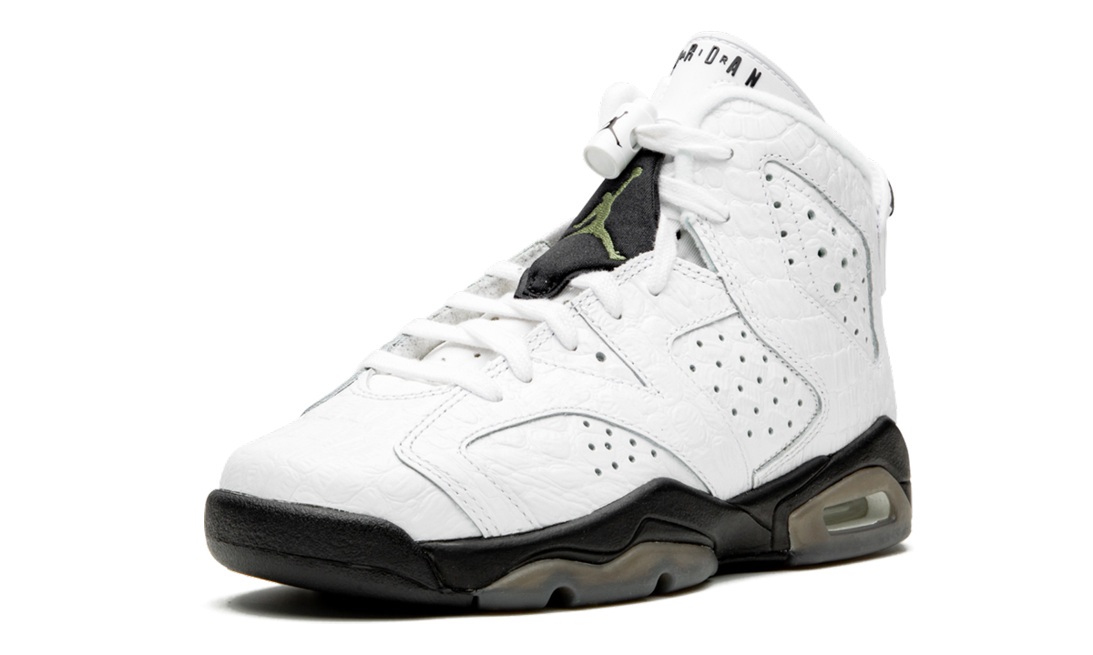 Air Jordan 6 Retro GS "Alligator" 384665 110