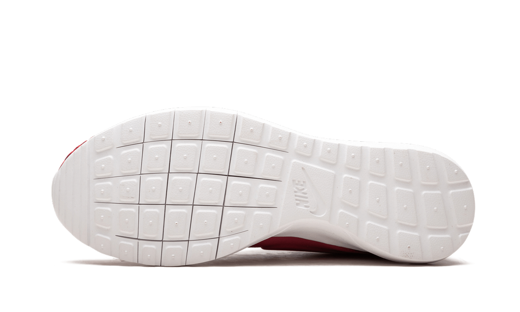 Roshe NM Flyknit PRM 746825 600