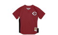 Batting Practice Jersey "MKB Cincinnati Reds 2007 Ken Griffey Jr." ABPJ3338 CRE07KGJSCAR
