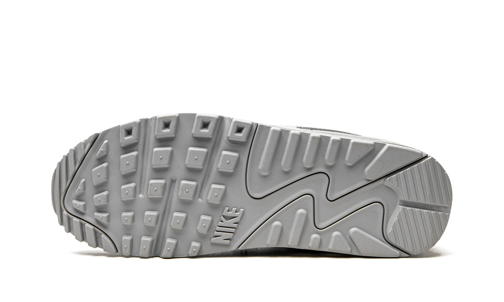 Air Max 90 "Wolf Grey" CN8490 001