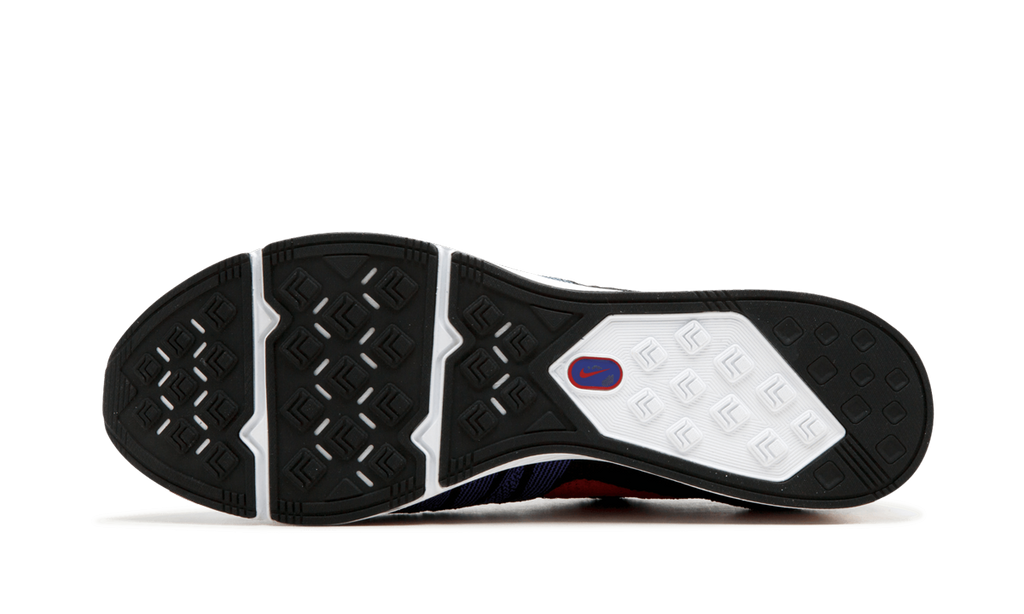 Flyknit Trainer "Raptors" AH8396 003