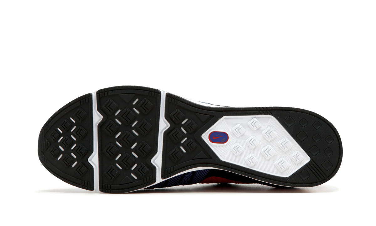 Flyknit Trainer "Raptors" AH8396 003