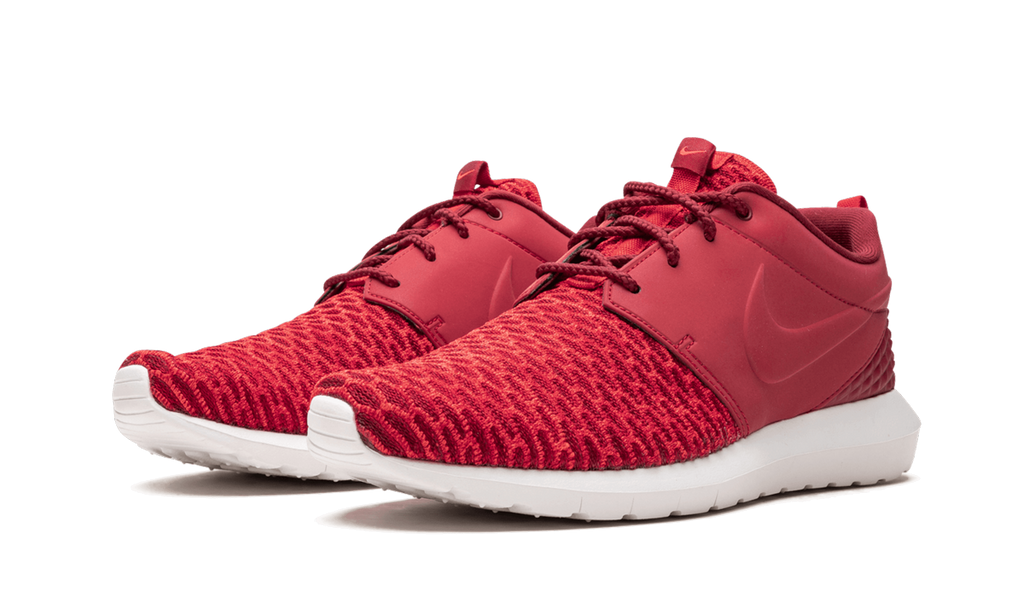 Roshe NM Flyknit PRM 746825 600