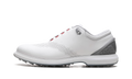 Air Jordan ADG 4 GOLF "WHITE PURE PLATINUM" DM0103 105